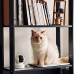 Kasa - Cámara de seguridad inteligente para interiores - 1080p - Imagen 6