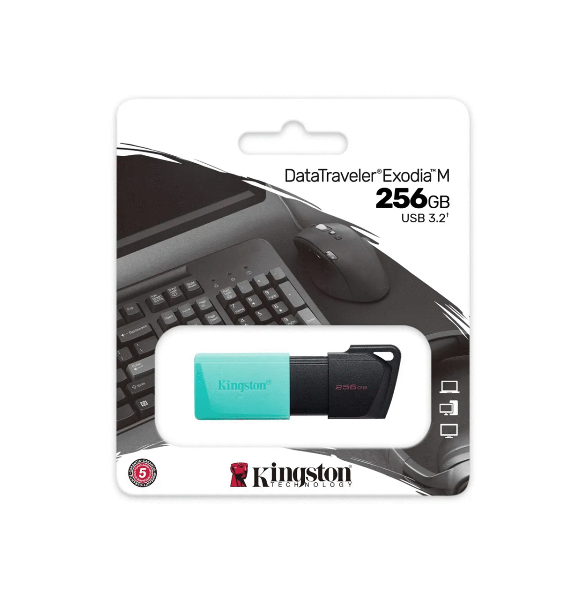 Kingston DataTraveler Exodia M 256GB – Memoria USB 3.2 Gen 1 - Imagen 1