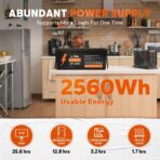 Batería LiFePO4 24V 100Ah (2560Wh) Litime con BMS 100A – Ciclo Profundo para Sistema Solar, RV y Uso Marino - Imagen 6
