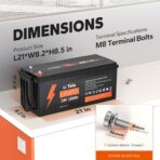 Batería LiFePO4 24V 100Ah (2560Wh) Litime con BMS 100A – Ciclo Profundo para Sistema Solar, RV y Uso Marino - Imagen 2