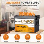 Batería LiFePO4 24V 100Ah (2560Wh) con BMS 100A – Ciclo Profundo, Compacta para Sistema Solar, RV y Uso Marino - Imagen 6
