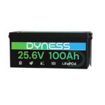 Batería Dyness LiFePO4 24V 100Ah 2560Wh con BMS 100A