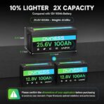 Batería Dyness LiFePO4 24V 100Ah 2560Wh con BMS 100A - Imagen 2